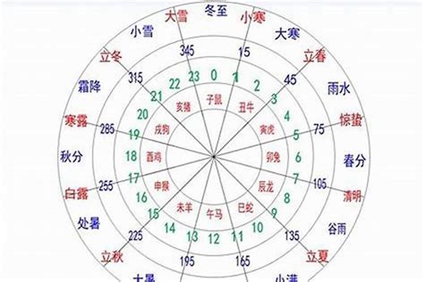 同字五行|同字五行属什么